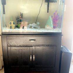 55 Gallon Fish Tank 