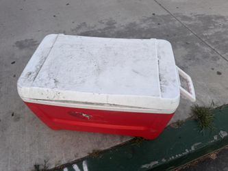 Cooler