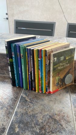 Lot of Children's Chapter Books