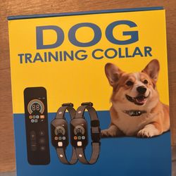 Dog Training Collar