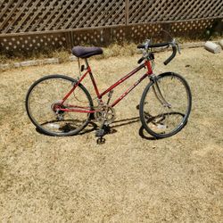 Women's 12 Speed Bike 