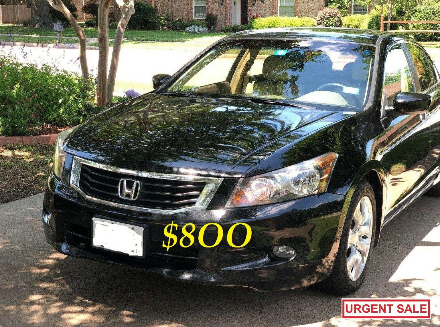 🟢💲8OO I'm selling urgent! 2OO9 Honda Accord Runs and drives great. Clean title in hand! Mechanically perfect! very strong V6🟢!