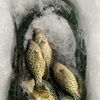 hughes_fishing