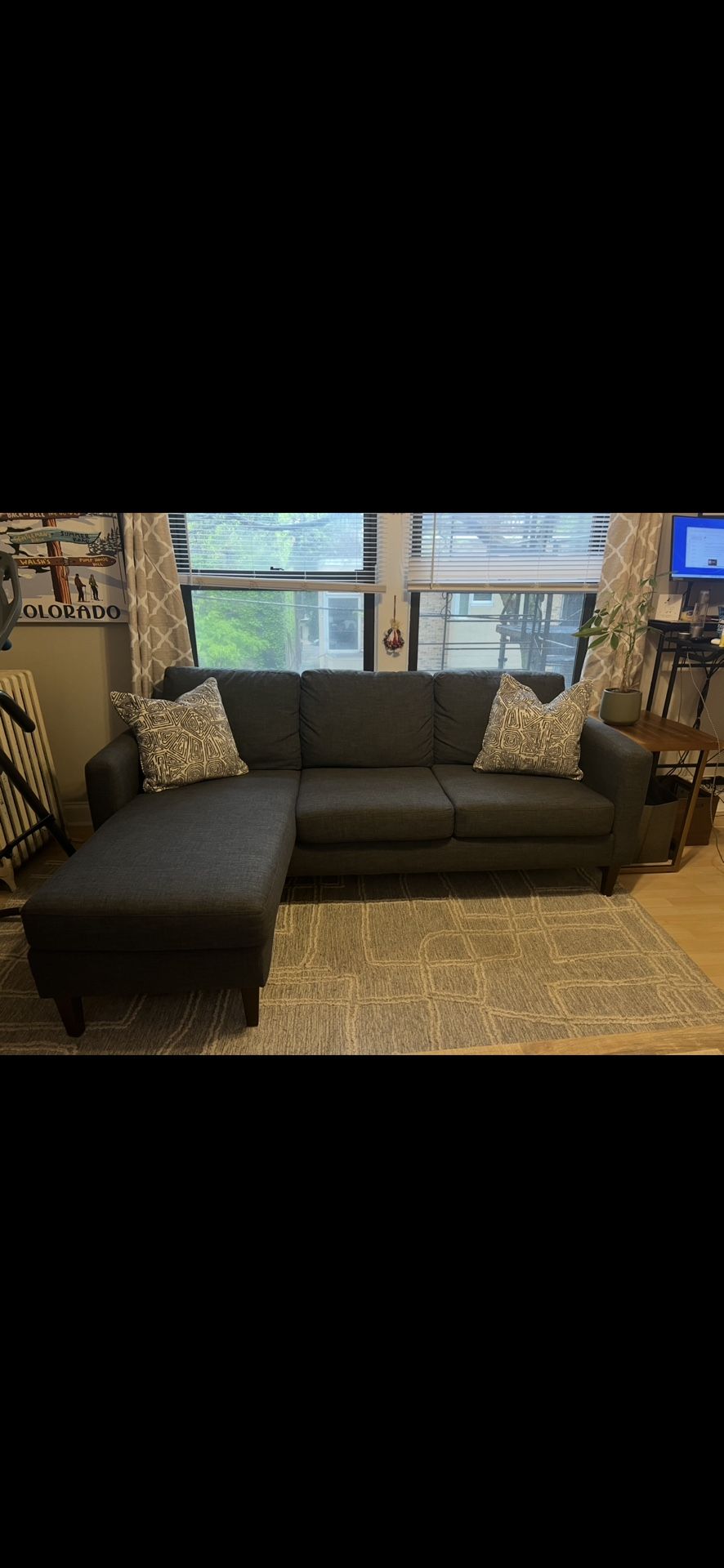 Love Seat Couch