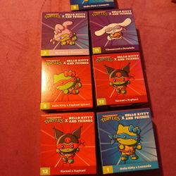 Hello Kitty X Teenage Mutant Nija Turtles