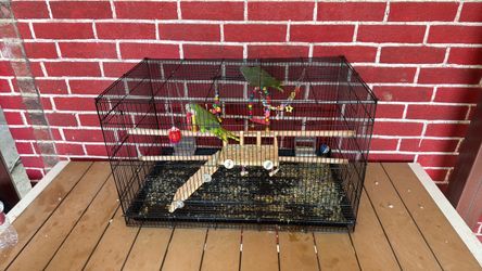 Large Black Wire Bird Cage with Accessories