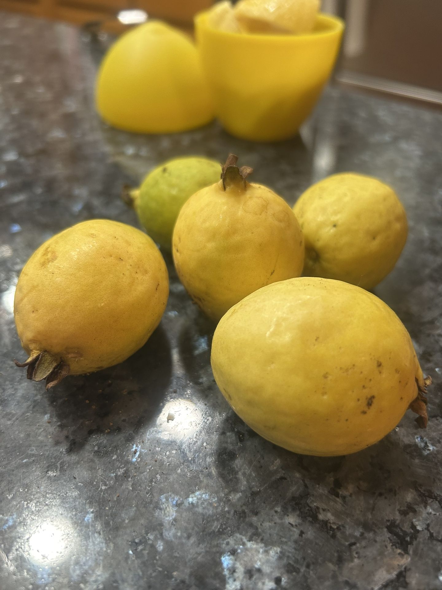 Organic, Homegrown Guavas, Now In Season