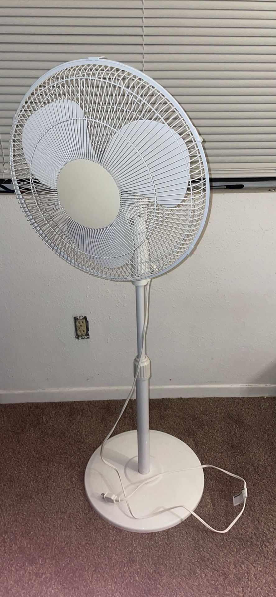 Standing Fan