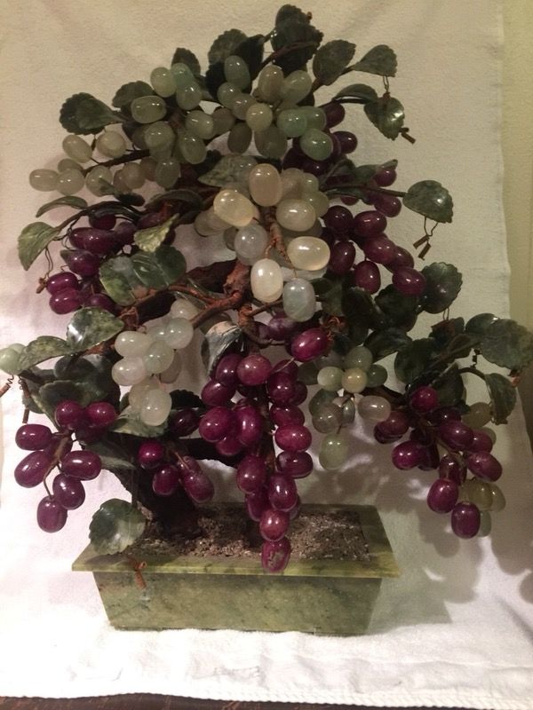 Reduced! - Jade Grape Tree
