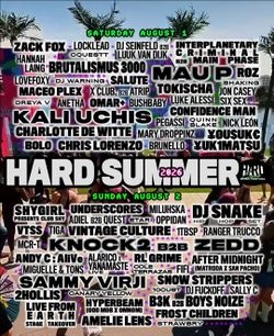 2 day VIP hard summer wristband