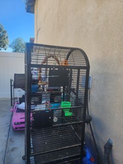 Parrot  cage