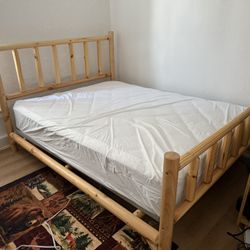 Queen Size Doctor’s Choice Mattress