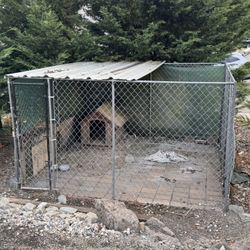 10x10’ Chain-Link Dog Kennel with Roof