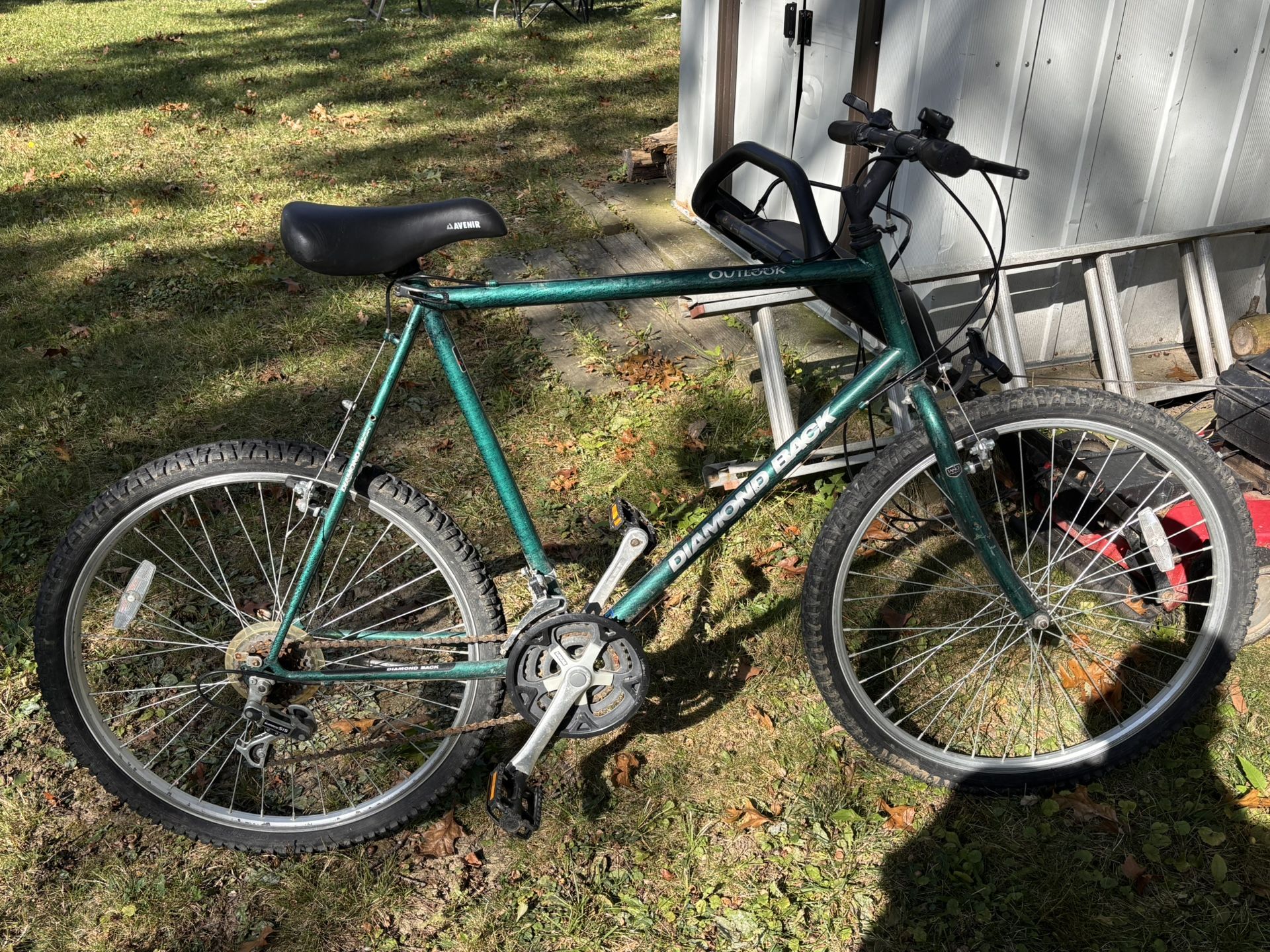1999 Vintage Dimond Back