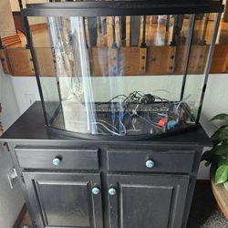 36 Gallon Fish Tank