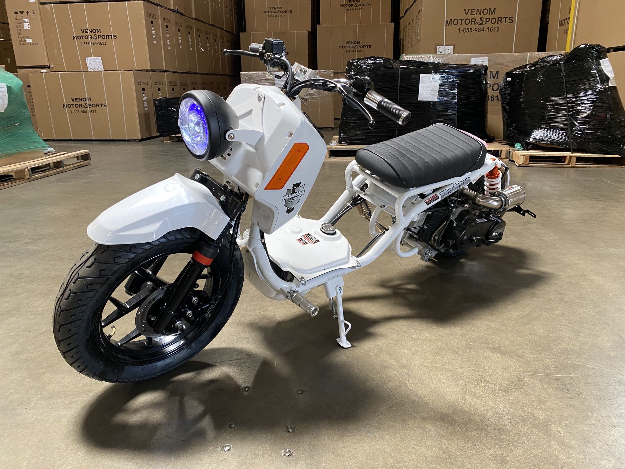 Maddog Ruckus 50cc Scooter Icebear Venom Moped Mad Dog Mean Dog