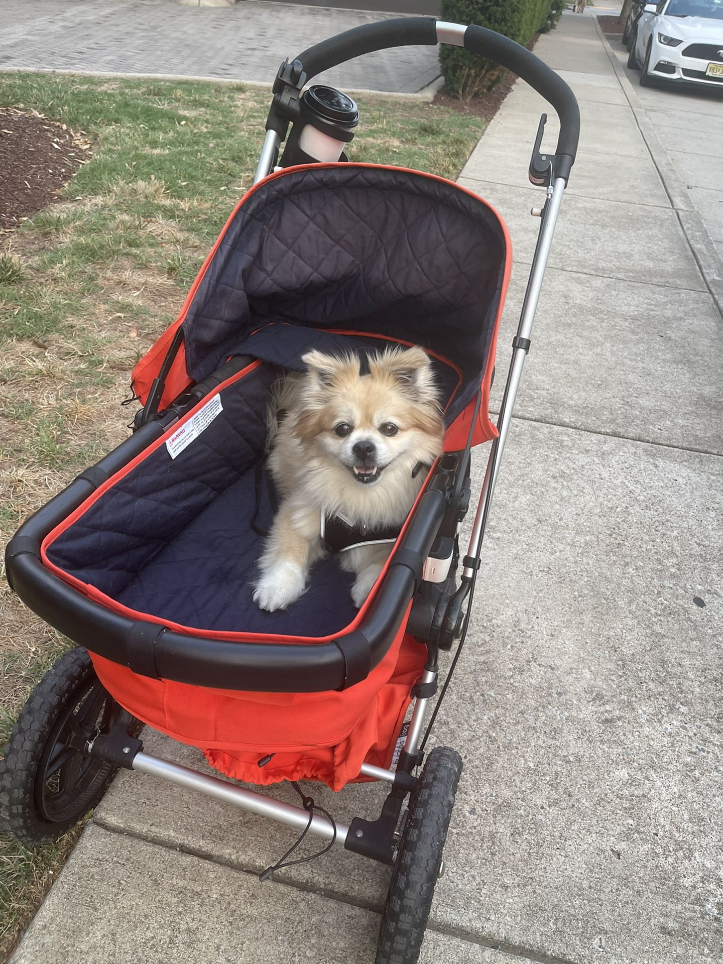 Bugaboo Dog Stroller