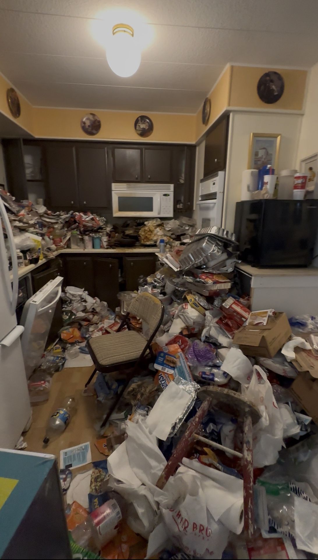 Hoarder Clean Ups