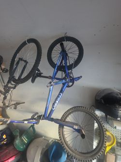 CG BIKE CO