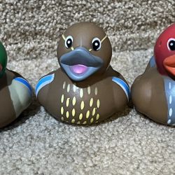 Rubber ducks set of 3 Mallards new party favor 