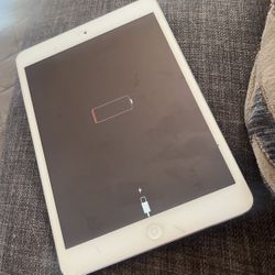 iPad Minina1489