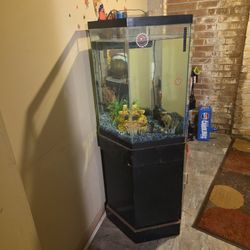 FISH AQUARIUM 
