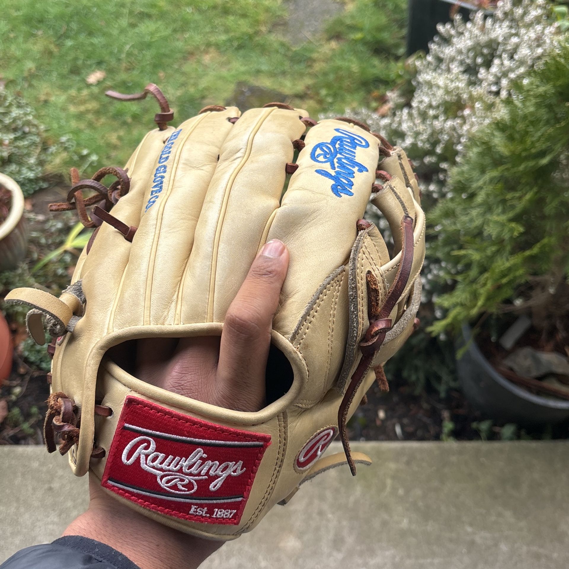 Rawlings Prograde Men’s Baseball Mitt