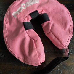 🐶Pet Protective Inflatable Recovery Collar for Dogs and Cats -(Small)