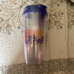 Disneyland Thermal Cup 