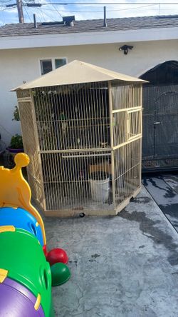 Bird Cage