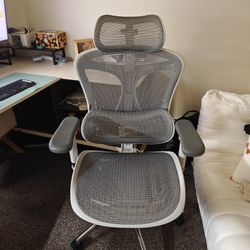 sihoo Doro c300 ergonomic chair