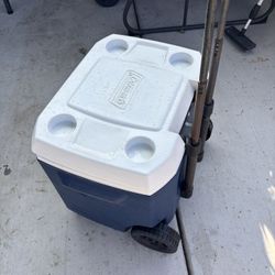 Cooler Coleman