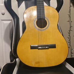 Adult Pacific Acoustic Guitar 