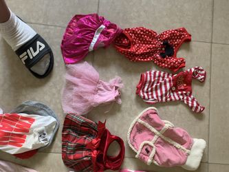 dog small clothing