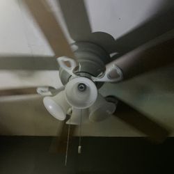Cealing Fan
