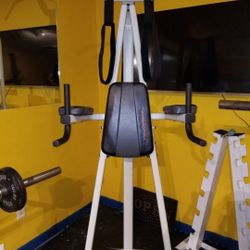 Dip and pull up machine