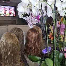 HUMAN HAIR WIGS FOR SALE