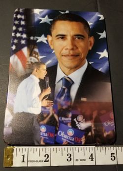 Michael and Barack Obama Panorama Square Plates.