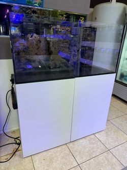 Water Box Aquarium 114 Gallons