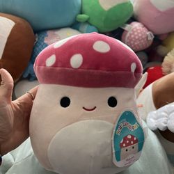 Malcolm The Squishmellow!!! 