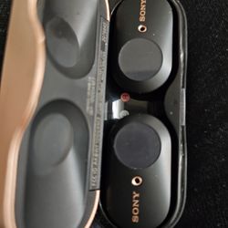 1
Sony WF-1000XM3 True Wireless Earbuds