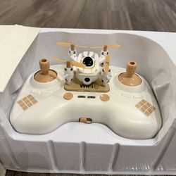 Polaroid PL100 Wi-Fi Drone