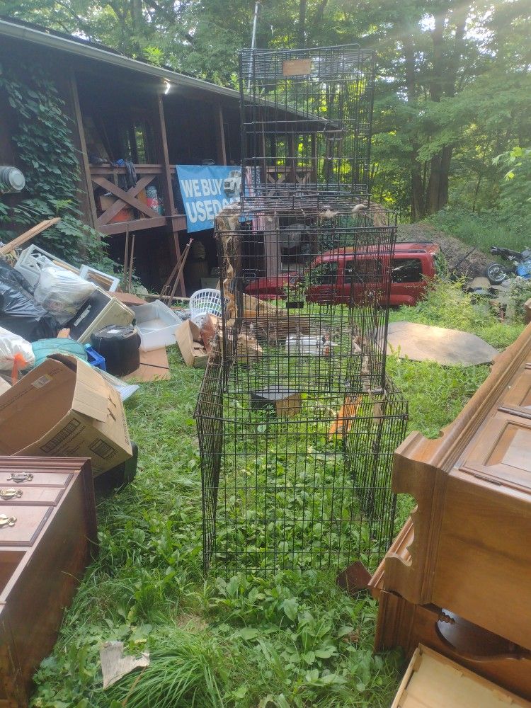 Dog Cages 3  of them $80 Obo