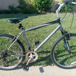 Nishiki Bike Needs Brake Handles Replaced 