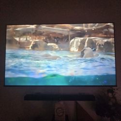 65In Toshiba Fire TV 