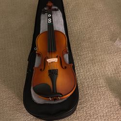 Violin