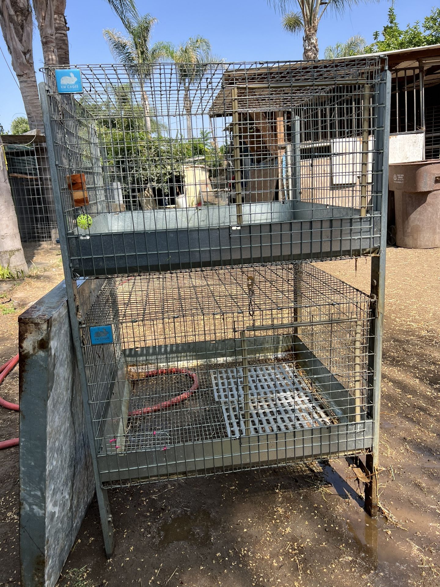 Rabbit Cage