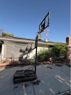 Lifetime basketball hoop