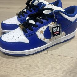 Dunks Size 10.5 DS 