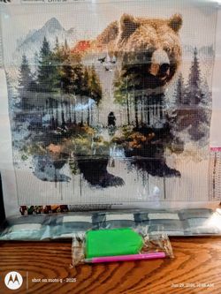 Grizzly Adventure Diamond Painting Complete KIT whatmost